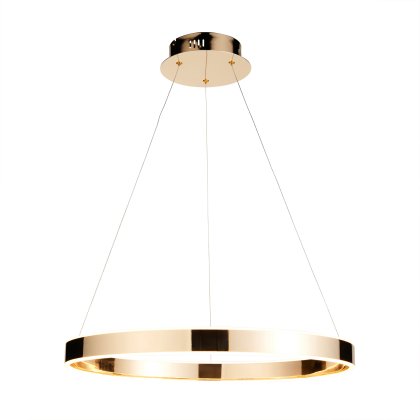 Gen Pendant Light in French Gold