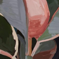 Robusta Framed Canvas