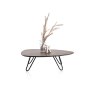 Habufa Masura Low Coffee Table
